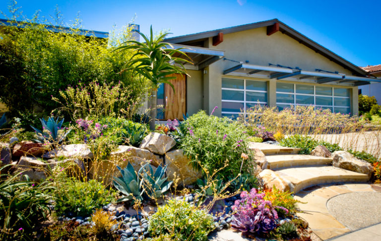 Xeriscape