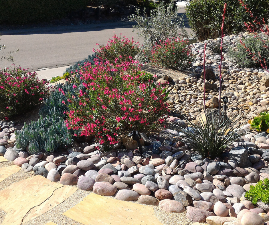 Planting done by Rockology Utah