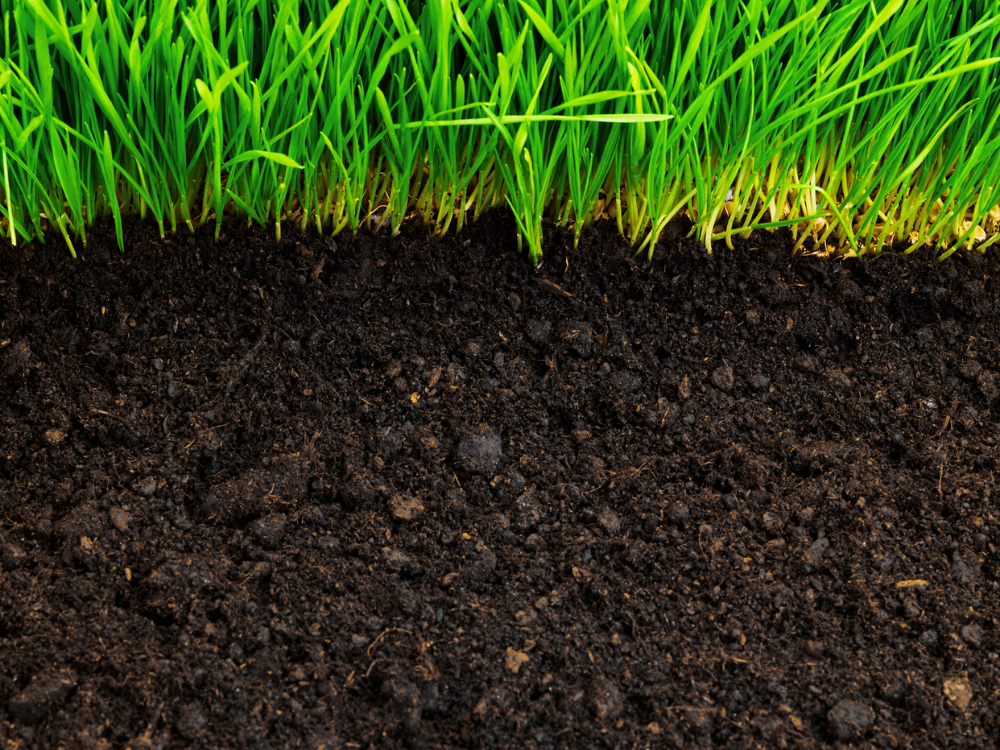 Rockology Utah | Lawn Care Tips Utah-When Should I Water My Lawn?